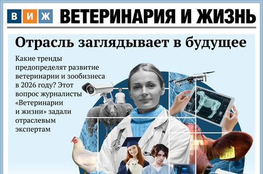 Вышел новый выпуск «ВиЖ» с прогнозами на 2026 год
