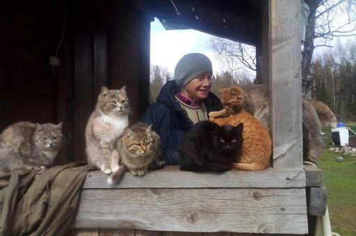 Бабушка для кошки: тверские зоозащитники поделились опытом помощи животным