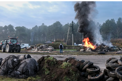 Забастовка во Франции: фермеры вывесили труп теленка перед Минсельхозом