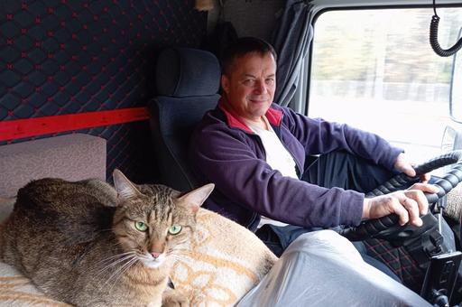 Путешественник поневоле: как кот Федос проехал полстраны и стал легендой железных дорог