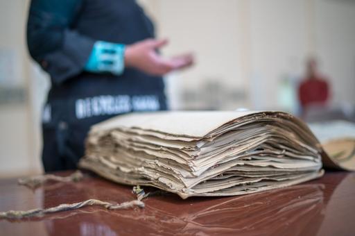 Покусы под следствием: в Дербенте возбудили дело после массовых нападений собак на людей