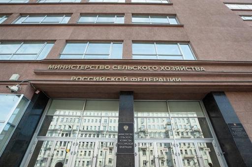 Заместителем министра сельского хозяйства России назначена Мария Маркелова