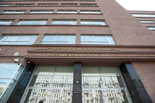 Заместителем министра сельского хозяйства России назначена Мария Маркелова