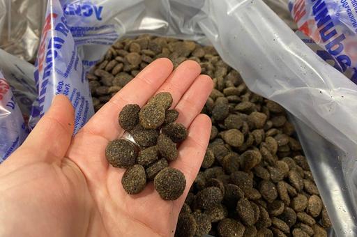 Первое в РФ производство pet-кормов с концентратом из насекомых запускают в Сибири