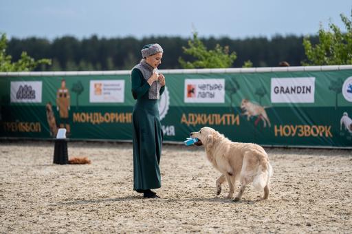 Спорт по поиску запахов: как ноузворк развивает собаку и проводника
