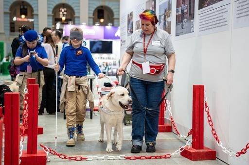 Не только поводырь: в России предлагают открыть общественные места для всех собак-ассистентов