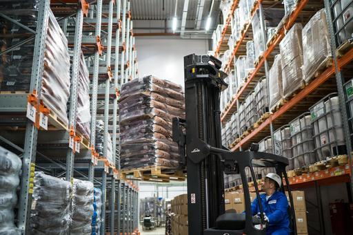 Выпуск сухих кормов для питомцев в 2025 году вырос в России на 13% — Feedlot