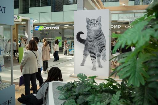 Рынок зооиндустрии в РФ «повзрослел» и переходит к экосистемной модели развития — эксперт