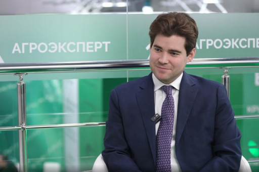 Выставка «Лучшие собаки и кошки России»: как это будет?