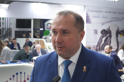 Стадо из пробирки: можно ли создать идеальных быков?