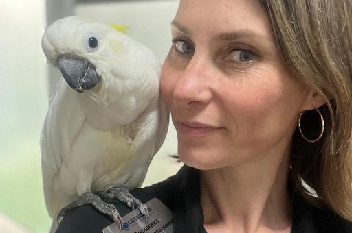 Птицы — это целые миры: врач-орнитолог рассказала об особенностях своей работы