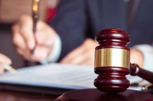 Кассация подтвердила ответственность чиновников за укусы безнадзорных собак