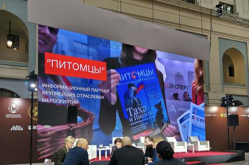 Выставка «Лучшие собаки и кошки России» стартовала в «Гостином Дворе» в Москве