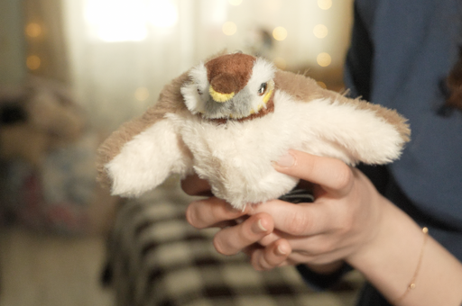 «ТехноХвост»: тестируем интерактивную птичку для кошек