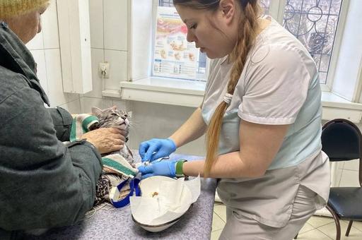 Иркутские ветеринары спасли кота после случайной стирки в машинке