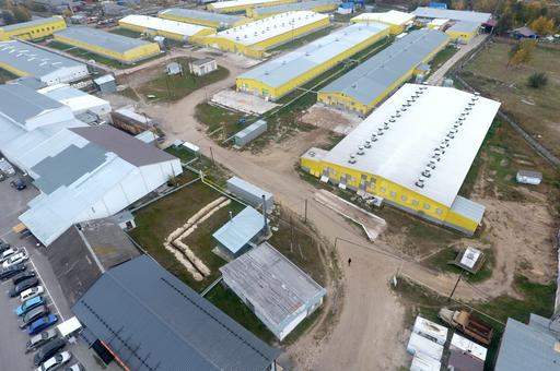 Сургутскую птицефабрику оштрафовали за кокцидиостатики в курятине