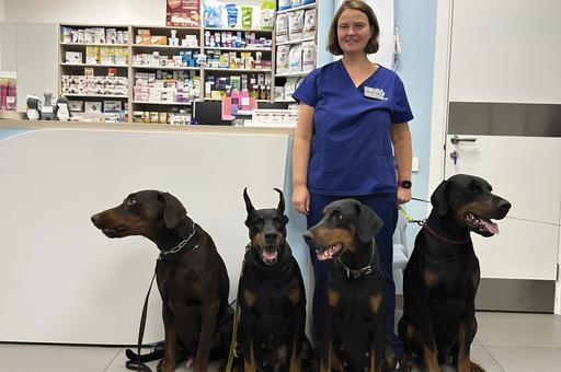 Магистр кардиологии: Татьяна Середа рассказала о современных программах подготовки ветспециалистов