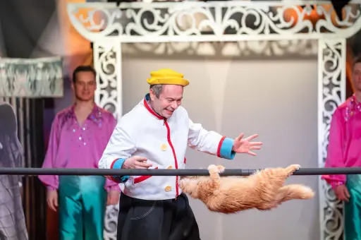 В Театре Куклачева прошел показ спектакля с кошками, спасенными из зоны СВО