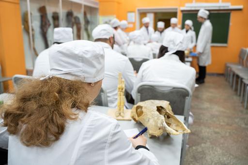 Ветеринаров предложили готовить отдельно для домашних и сельских животных