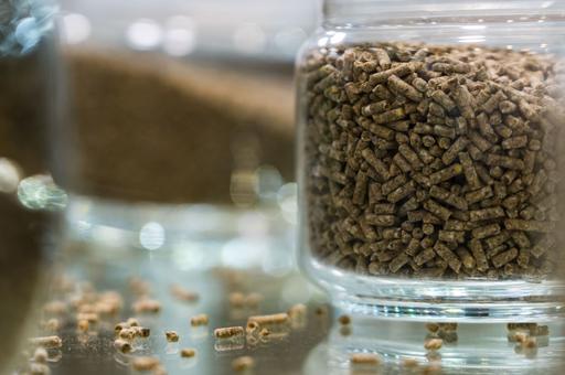 Цены на комбикорма в России в 2025 году выросли на 9%