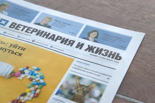 Вышел в свет мартовский номер газеты «Ветеринария и жизнь»