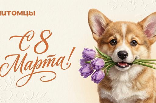 С Международным женским днем!