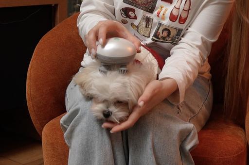 «ТехноХвост»: тестируем массажер для кошек и собак