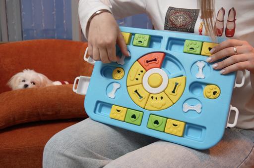 «ТехноХвост»: тестируем кормушку-головоломку для собак