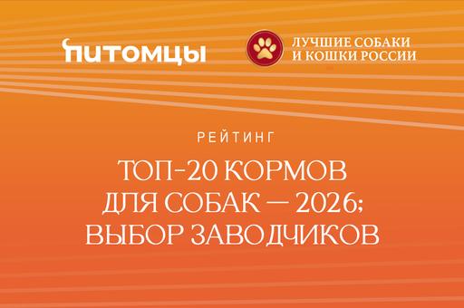 Рейтинг. Топ-20 кормов для собак — 2026: выбор заводчиков