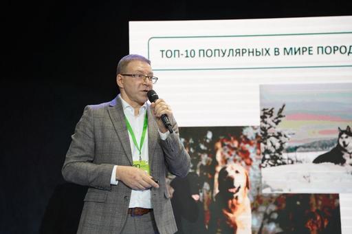 Кардинальная разница трендов: в Европе лидируют крупные породы собак, в России — мелкие