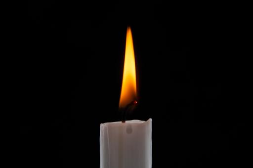 Умер глава отдела Управления ветеринарии Новосибирской области