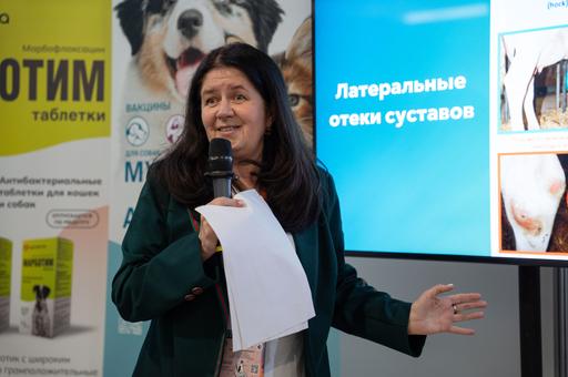 Коровам — на красный: как свет влияет на размножение и питание рогатого скота