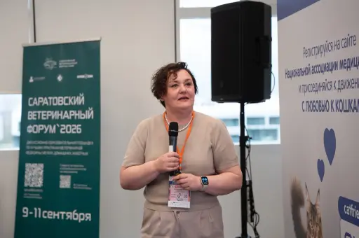 Повышенный креатинин у кошки не всегда говорит об отказе почек