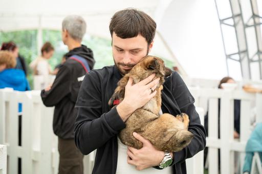 «Хочу собаку»: как понять, что вы готовы к питомцу