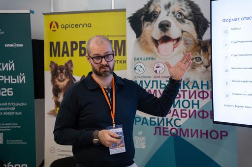 Почему ИИ по-разному отвечает на один и тот же запрос: как ветеринару ставить задачи нейросети