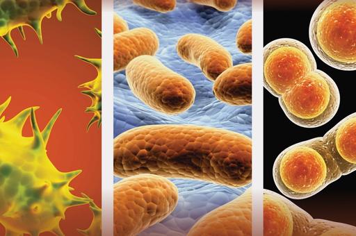 Вышел первый в этом году номер журнала «Ветеринария сегодня» 