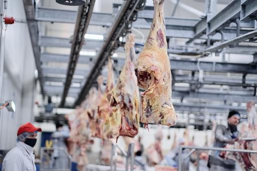 ЕС отказался от импорта мяса из Бразилии из-за антибиотиков