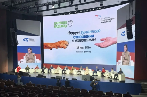 «Экосистема заботы»: координация усилий и цифровизация — на благо защиты животных