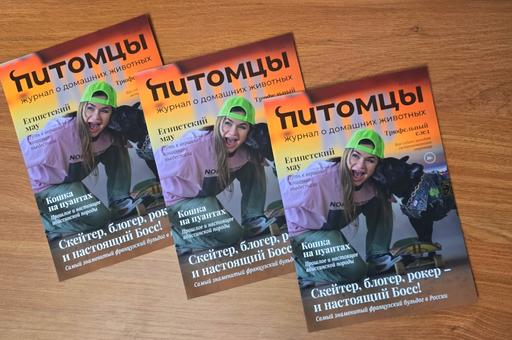Скейтеры, покорители гор и балерины: встречайте героев свежего номера «Питомцев»