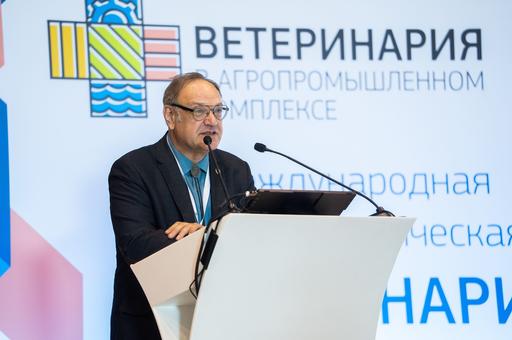 Казахстан и Узбекистан делают ставку на производство говядины, в РФ отрасль сталкивается с нехваткой инвестиций