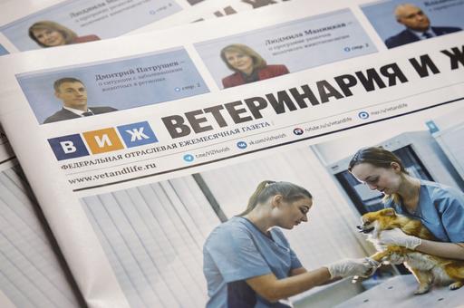 Донорство крови, эмбриотрансфер у кошек и вакцинация рыбы — в свежем номере «ВиЖ»