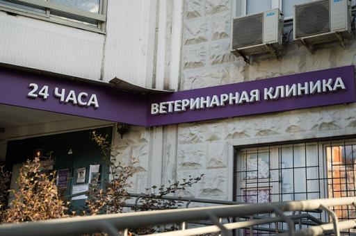 Суд оштрафовал ростовскую ветклинику за продажу ветпрепаратов без лицензии